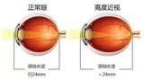文章附图